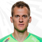 Artem Rebrov