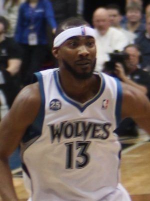 Corey Brewer