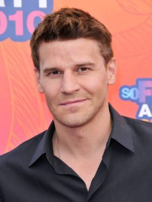 David Boreanaz