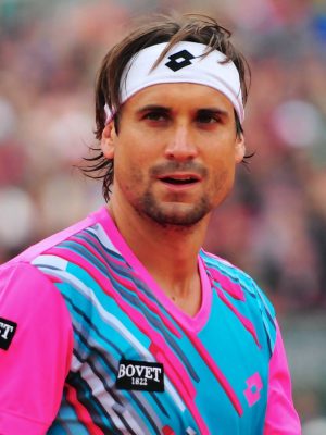 David Ferrer