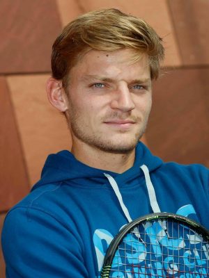 David Goffin