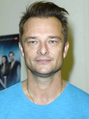 David Hallyday