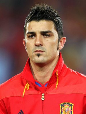 David Villa