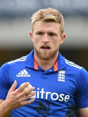 David Willey