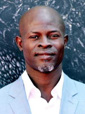 Djimon Hounsou