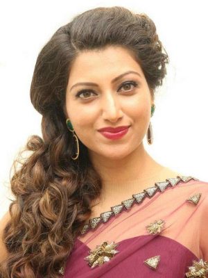 Hamsa Nandini