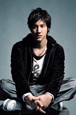 Leehom Wang