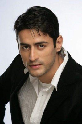 Mohit Raina