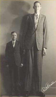 Robert Wadlow