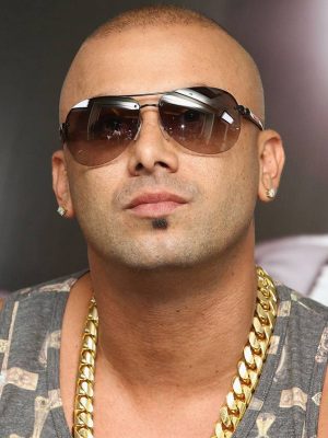 Wisin