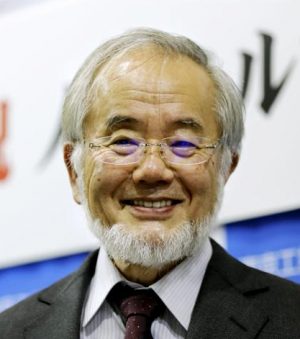 Yoshinori Ohsumi